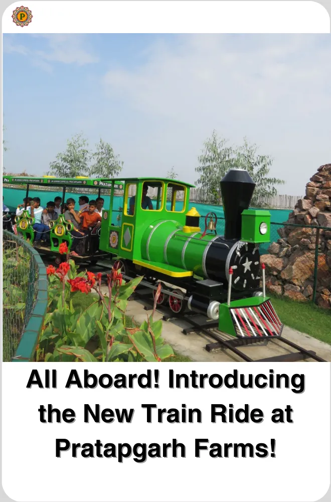 Green toy train carrying children along a track bordered by red canna flowers and rocks