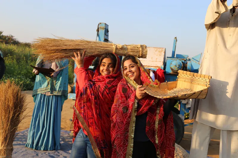Women winnowing grain in the fields