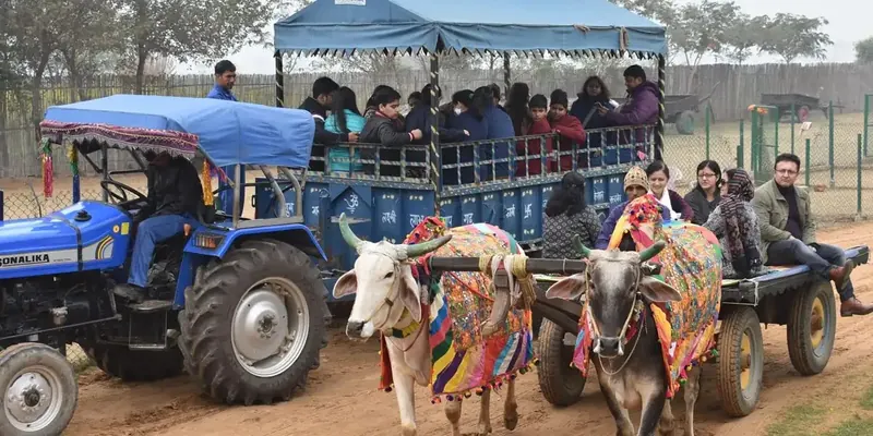 Tractor trolley and decorated bullock cart carrying schoolchildren along a farm track